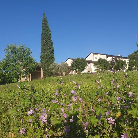 Agriturismo Relais Maddalene101 Vicenza Buitenkant foto