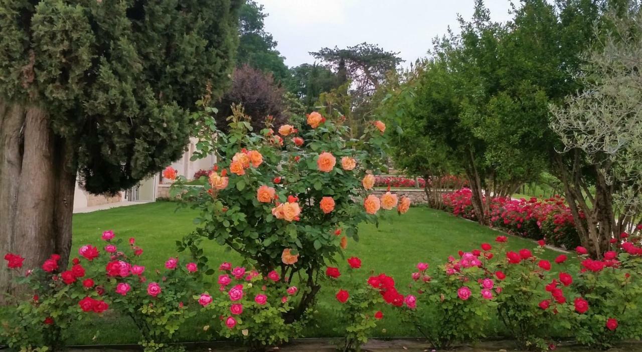 Agriturismo Relais Maddalene101 Vicenza Buitenkant foto
