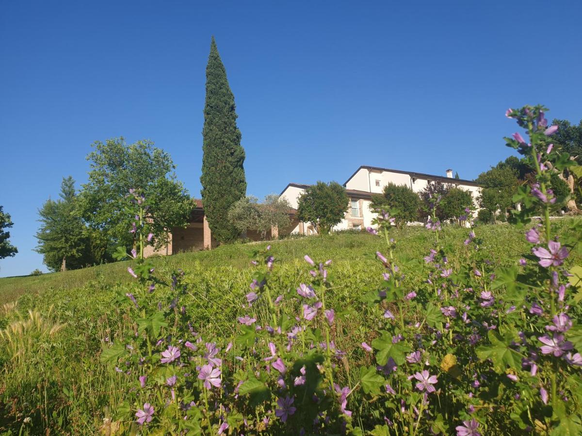Agriturismo Relais Maddalene101 Vicenza Buitenkant foto